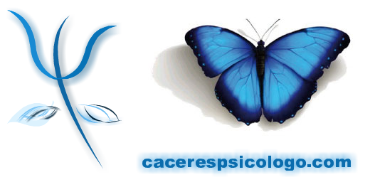 logo mariposa 2